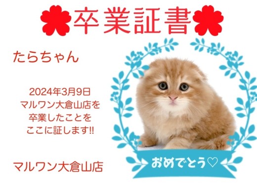 【卒業証書】タラちゃん卒業おめでとう！！スタッフママより愛を込めて！