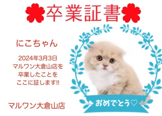 【卒業証書】ニコちゃん卒業おめでとう！！スタッフママより愛を込めて！