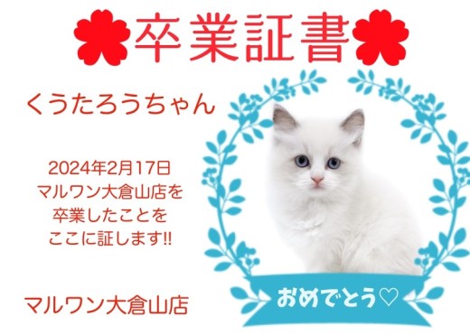 【卒業証書】くうたろうちゃん卒業おめでとう！！スタッフママより愛を込めて！