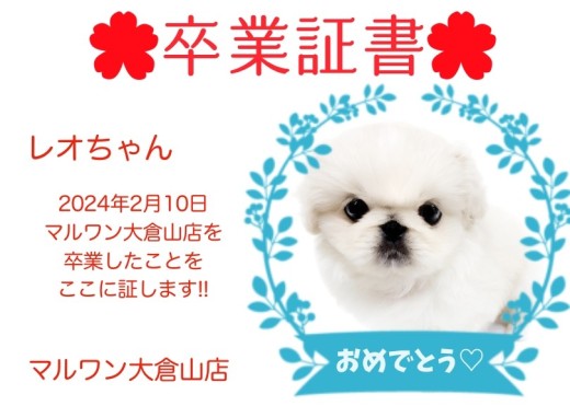 【卒業証書】レオちゃん卒業おめでとう！！スタッフママより愛を込めて！
