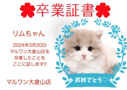 【 卒業証書 】リムちゃん卒業おめでとう!!スタッフママより愛を込めて!