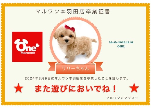 【 卒業記念 】リリーちゃん卒業おめでとう!今までの感謝を込めて〜卒業ブログ〜