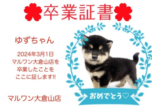 【 卒業証書 】ゆずちゃん卒業おめでとう！！スタッフママより愛を込めて！