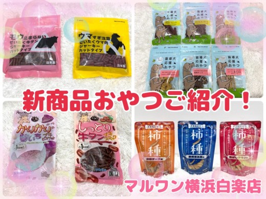 【 商品紹介 】春の新商品入荷しました！犬用おやつのご紹介