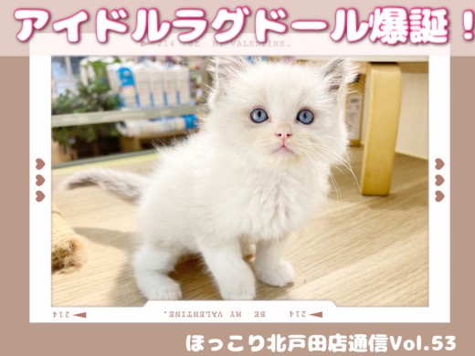 【 ほっこり北通Vol.53 】天才的なアイドルラグちゃん!