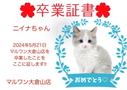 【 卒業証書 】ニイナちゃん卒業おめでとう!!スタッフママより愛を込めて!