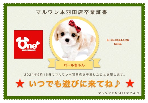 【 卒業記念 】パールちゃん卒業おめでとう!今までの感謝を込めて〜卒業ブログ〜