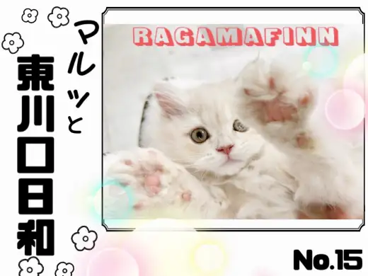【 マルっと東川口日和No.15 】気づけば虜に、注目度急上昇のラガマフィン