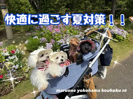 【 お役立て情報 】猛暑を乗り切る！快適に過ごす夏の対策法