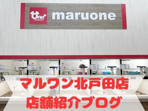 【 店舗紹介 】ここに来ればお迎え前後も安心！PETEMO北戸田店をご紹介！