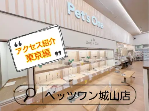 【 ペッツワン城山店 】アクセス紹介！東京編