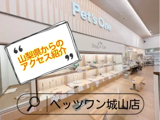 【 ペッツワン城山店 】アクセス紹介！山梨編