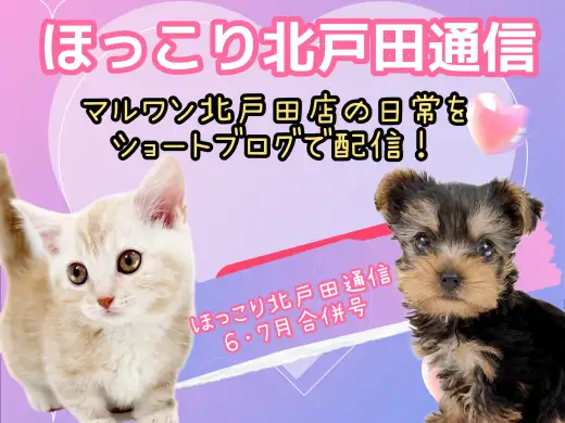 【 ほっこり北戸田通信集 6.7月号 】日々の日常をマルっとまとめました！