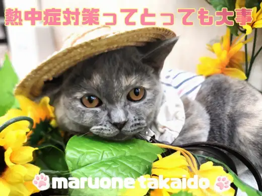 【 お迎え後のポイント熱中症対策前編 】暑さ強まるこの時期を上手に乗り切ろう！