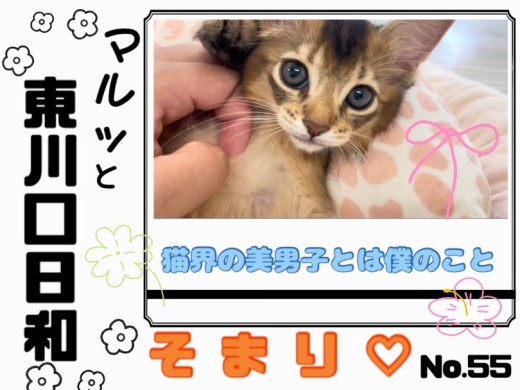 【 マルっと東川口日和No.55 】不思議な魅力を醸し出す激かわソマリちゃん！