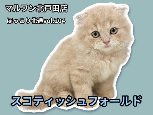 【 ほっこり北通vol.204 】垂れ耳の穏やかプリンスが埼玉県戸田市に登場！