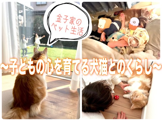 【 子育て家庭のペット生活 】子どもの心を育てる犬猫との暮らし！