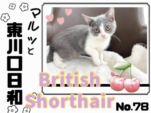 【 マルっと東川口日和No.78 】新しい事に挑戦した元気印ブリちゃん！