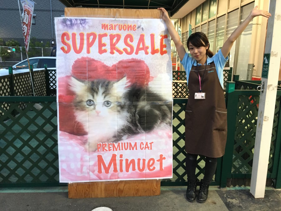 大きな特製ポスター | ミヌエット - マルワン大倉山店