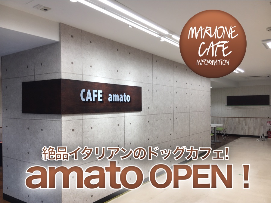 【ドッグカフェ】マルワンが運営するイタリアンドッグカフェオープン！：amato VOL.1