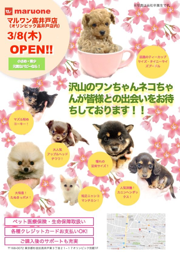 【新店OPEN！】3月8日（木）マルワン高井戸店オープンです！
