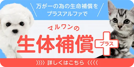 マルワンの生体補償プラス