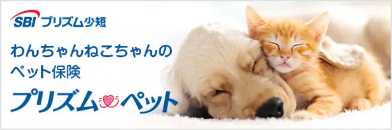 わんちゃんねこちゃんのペット保険 プリズムペット