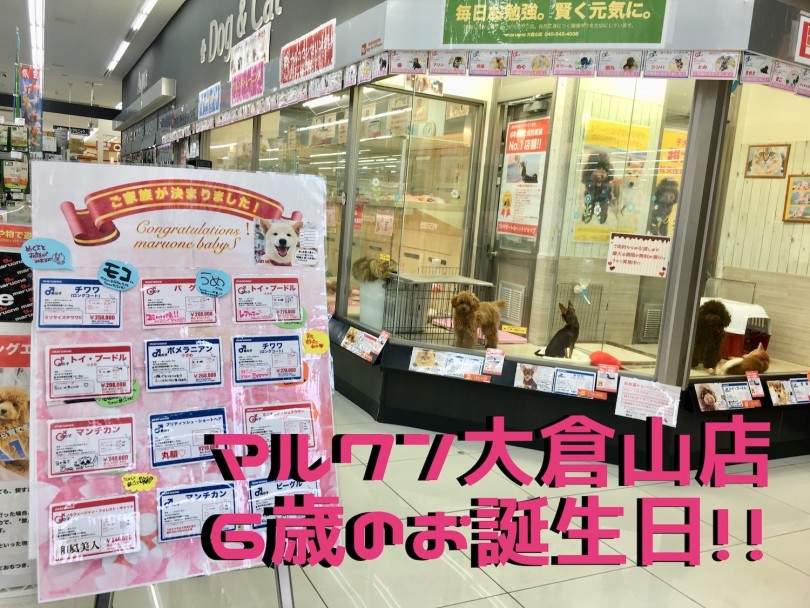 【イベント情報】祝・大倉山店6歳！バースデーイベント開催！