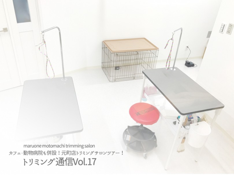 【 トリミング通信Vol.17 】カフェ・動物病院も併設！元町店トリミングサロンツアー！