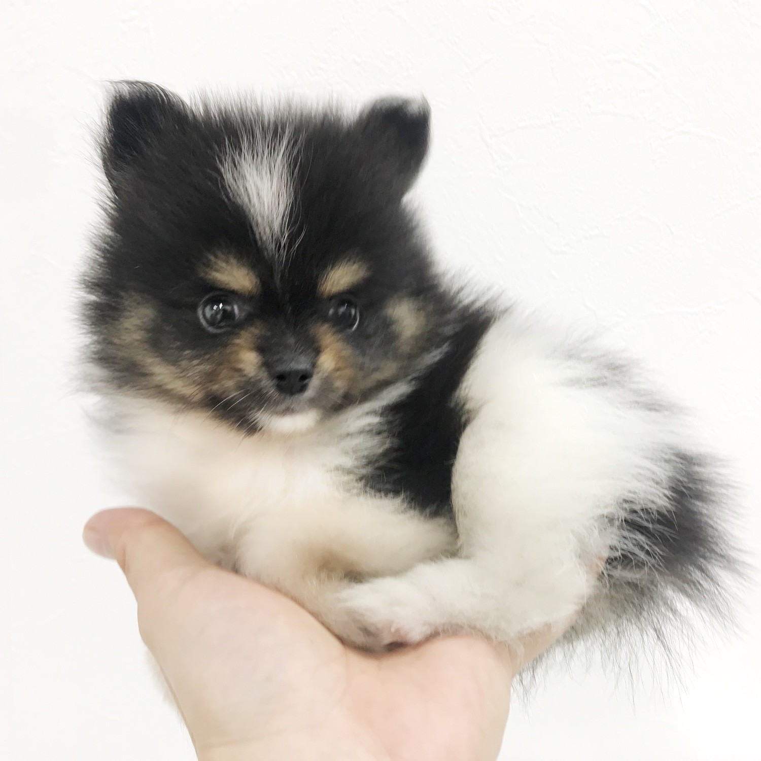 ee869f201a3168003641f546ad285c