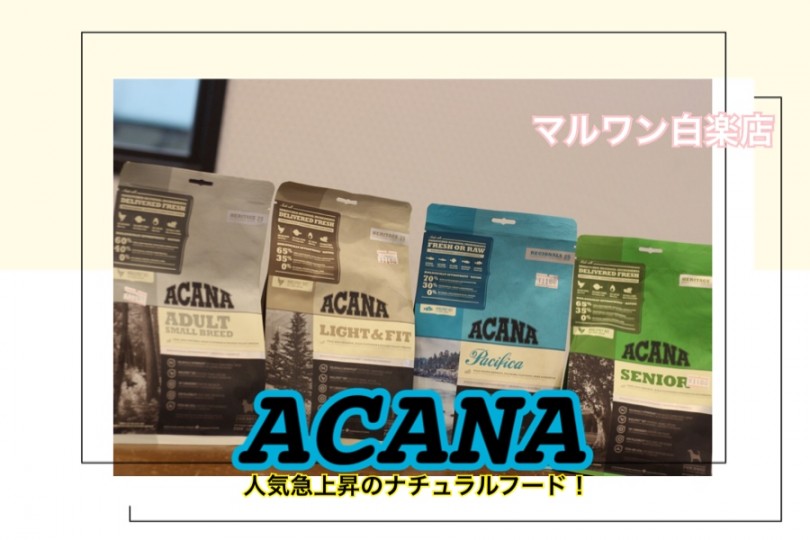 【 商品紹介 】ナチュラルフードとして人気急上昇のACANAをご紹介！
