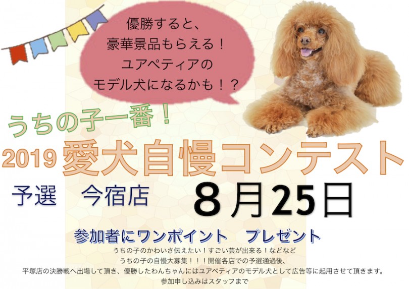 【 2019最大のイベント 】スーパーモデルになれるチャンス！愛犬自慢コンテスト！