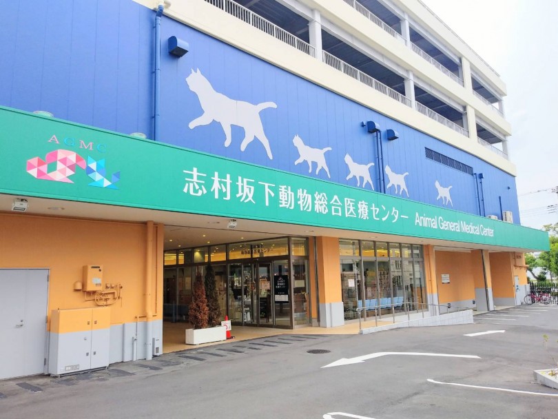 【 動物病院紹介 】志村坂下動物総合医療センターの魅力にせまる！！