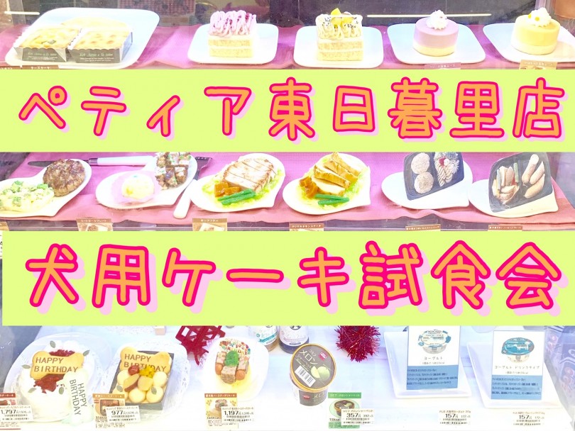 【 YP7周年記念イベント 】愛犬と一緒に食べられるコミフのケーキ試食会開催！