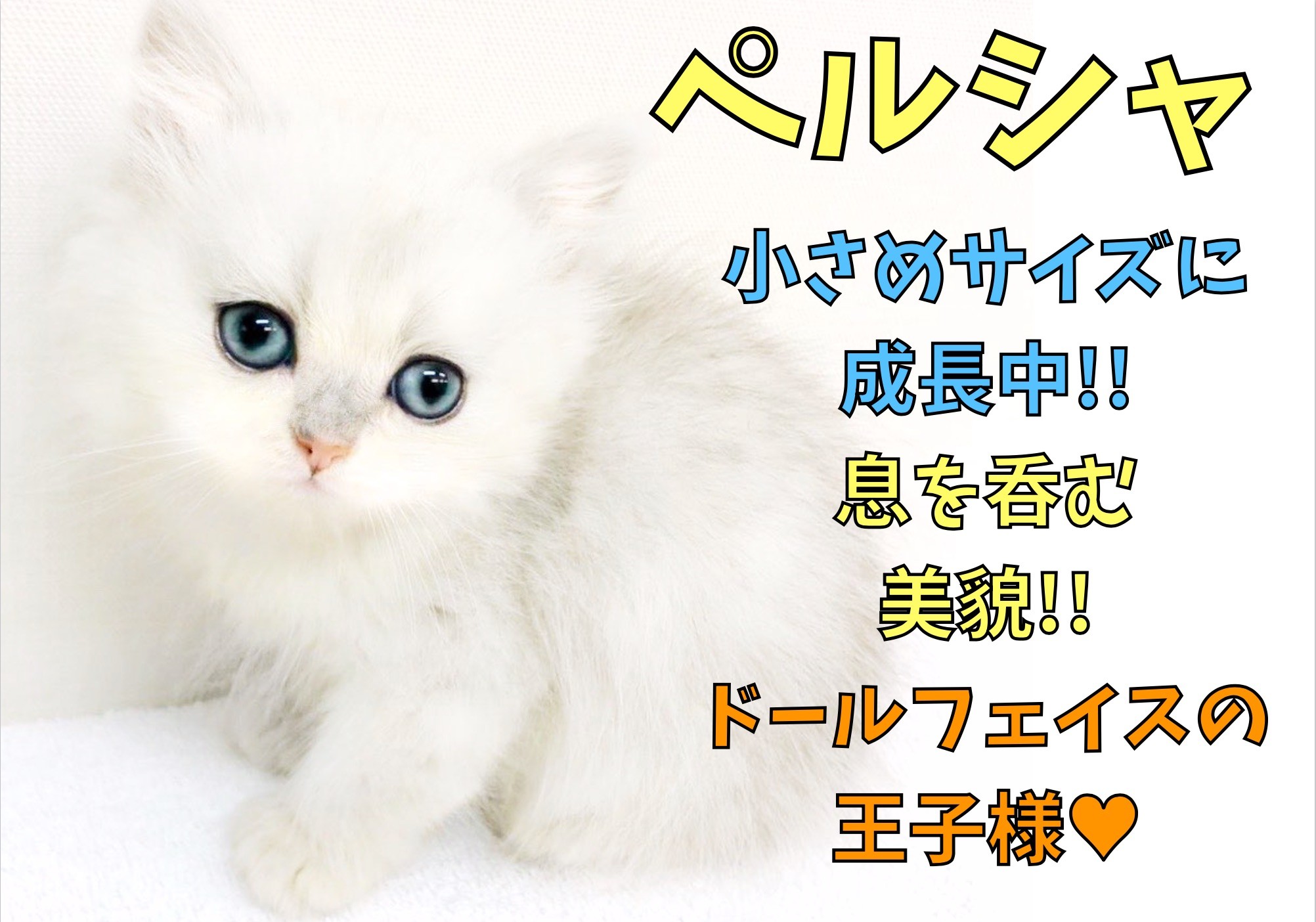 0a67ee7a04e54648dbb583e184e760