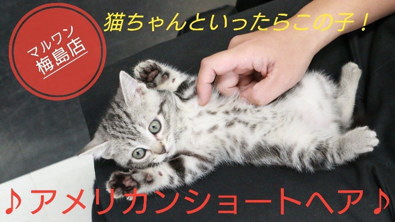 302571da9791eec6a31671fad3c504