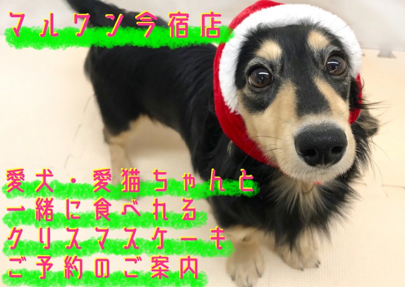 【 ご案内 】特典盛りだくさん！2019年クリスマスケーキ＆おせちのご案内