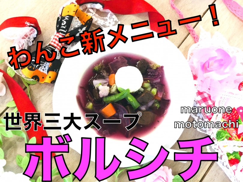 【 マルワン元町店・カフェ 】世界三大スープ・ボルシチをわんちゃん用にアレンジ！