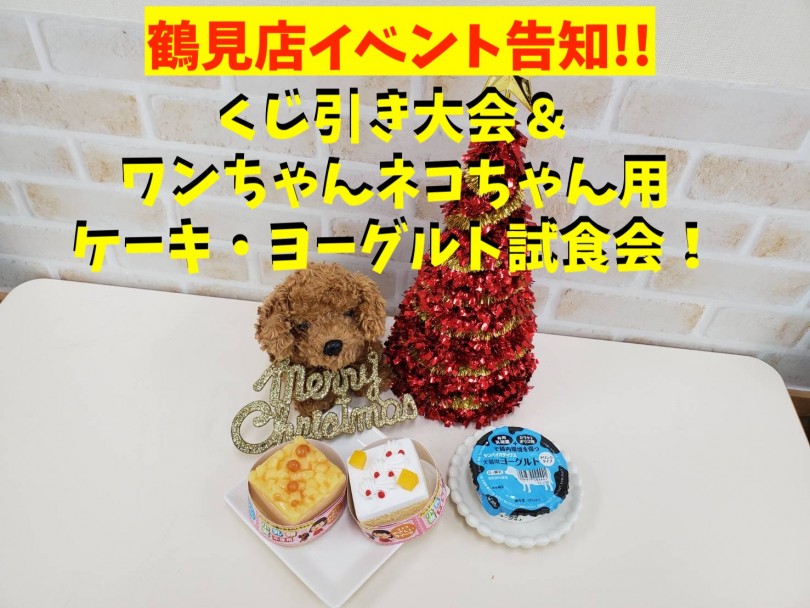 【 鶴見店イベント 】くじ引き大会＆ワンニャン用ケーキ・ヨーグルト試食会！
