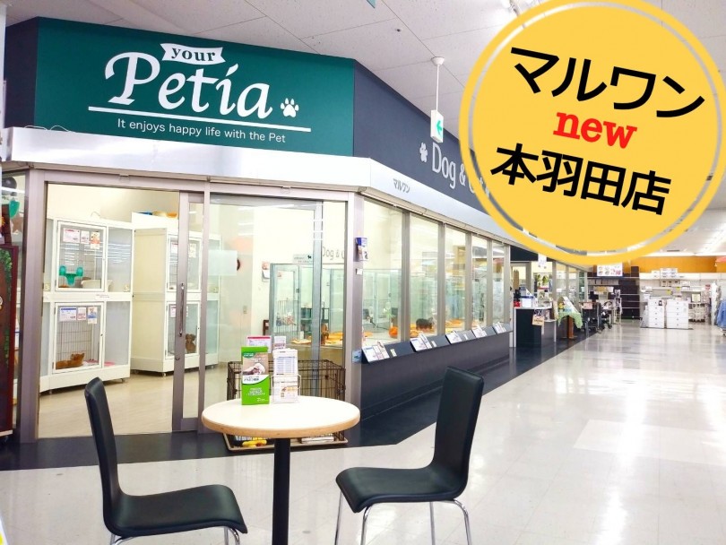 【 店舗紹介 】多摩川沿いに癒しの空間！！マルワン本羽田店はここにある！