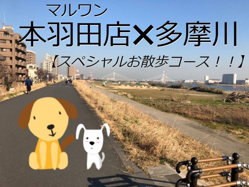 【 お散歩 】本羽田店✕多摩川 解放感MAXなお散歩コース発見！！