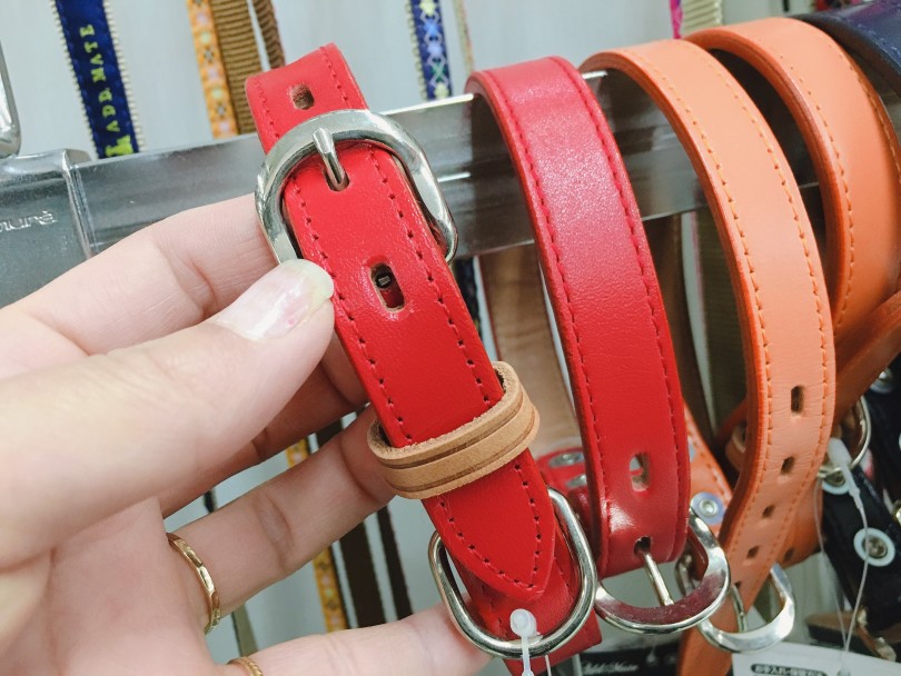 ベルトタイプ | 犬の首輪の種類と選ぶポイント - 大倉山店