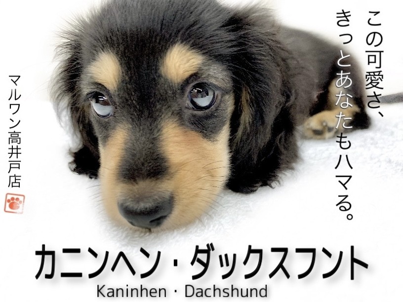 0b1a10b289f4bcae3961fec126ee62