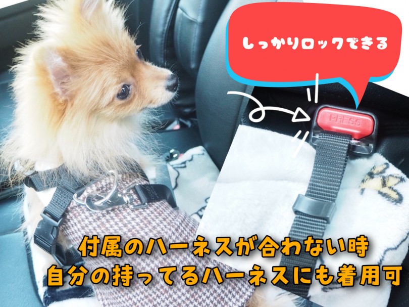 ワンちゃん用のシートベルト着用 | 愛犬とおでかけ - お役立ち情報 - 東川口店