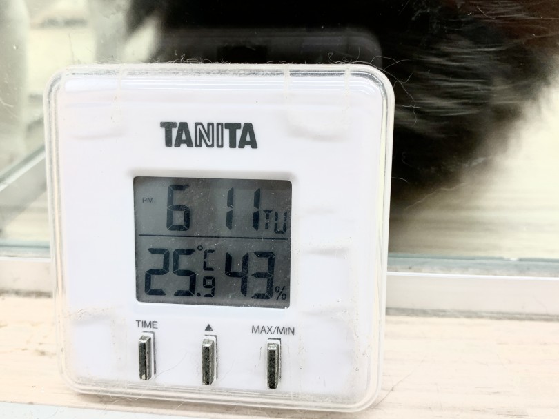 子犬や子猫の間の室温は25℃～26℃くらいが適温です！ | あったかグッズ オススメの選び方＆使い方 - 東日暮里店