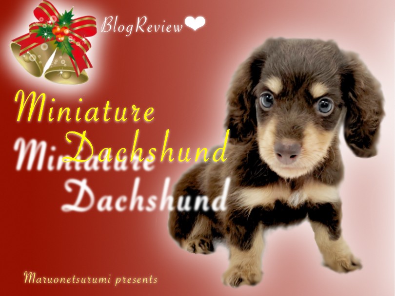 bb3e4e1f5942445e3c17f97d140dfe