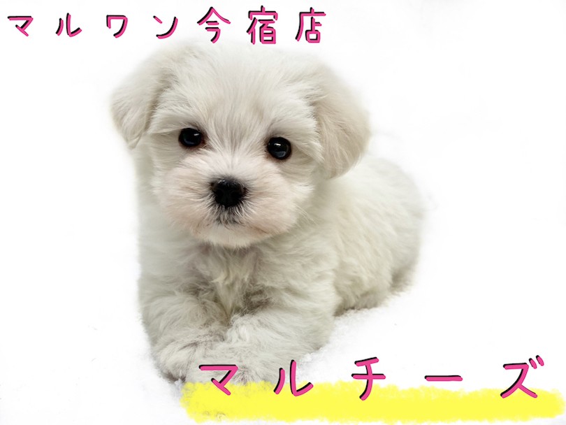 42675370337affdcd3538a844fc6fc