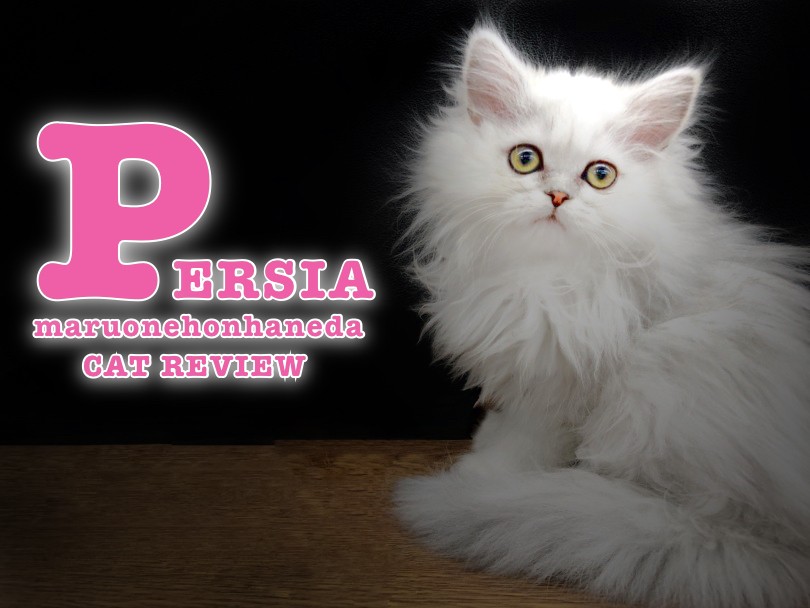 5f52b743a59f365c8285f99be52f3e