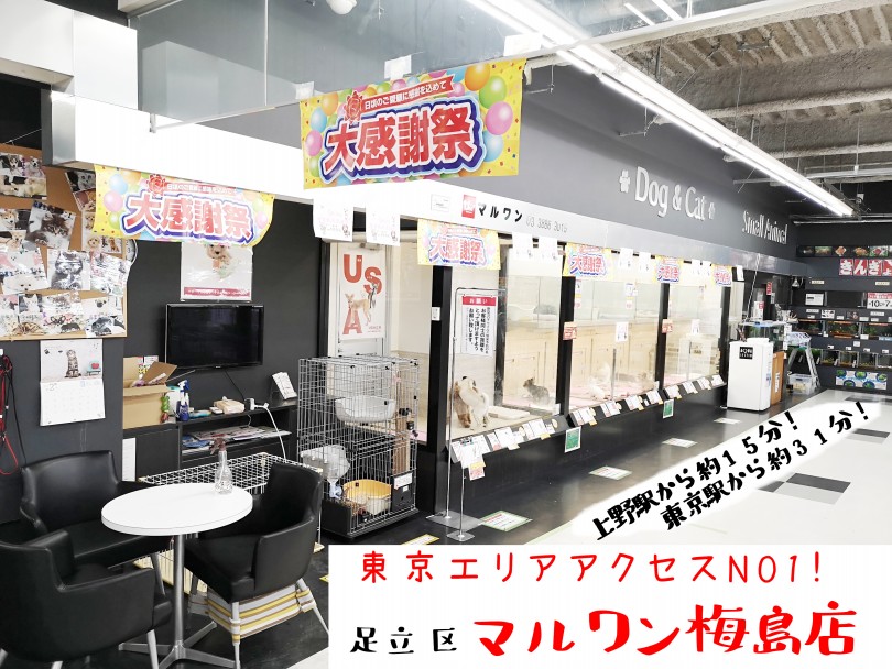 【 店舗紹介 】マルワン東京エリアで一番アクセスがいい店舗！ マルワン梅島店