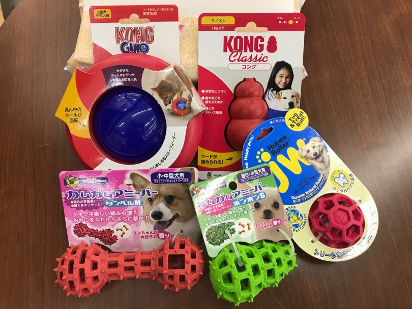MIXちゃんにオススメのおもちゃ | MIX犬 チワポメ （117305） - 鎌ヶ谷店